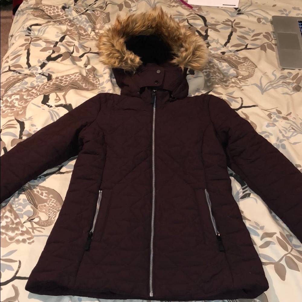 Winter Coat